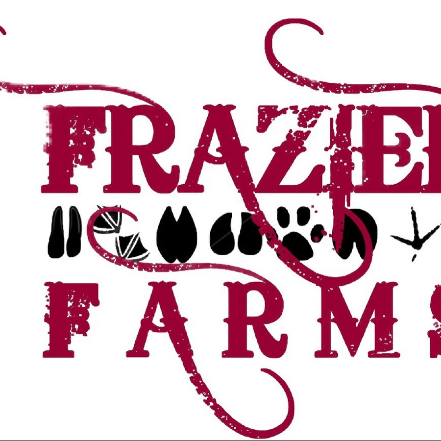 Foxes For Sale, Frazier Farms Exotics