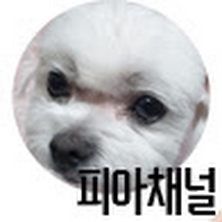 APkrFKawtcXfJEX ucakQ3iabHC oo3wEIGh4CF0gC l3g=s900 c k c0x00ffffff no rj