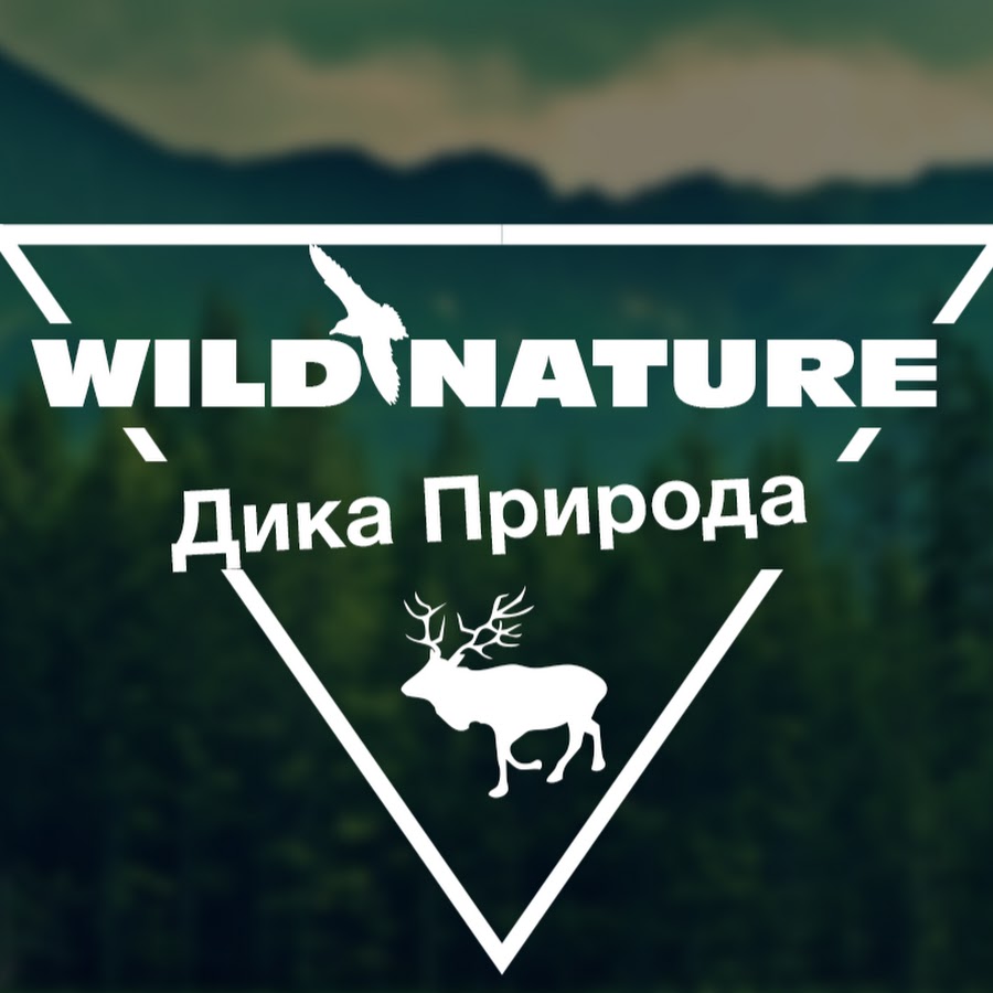 Дика ютуб. Дика прос. Дика ДОТТАГӀ. Дика ваша картинки. Mr Wild nature ютуб канал.