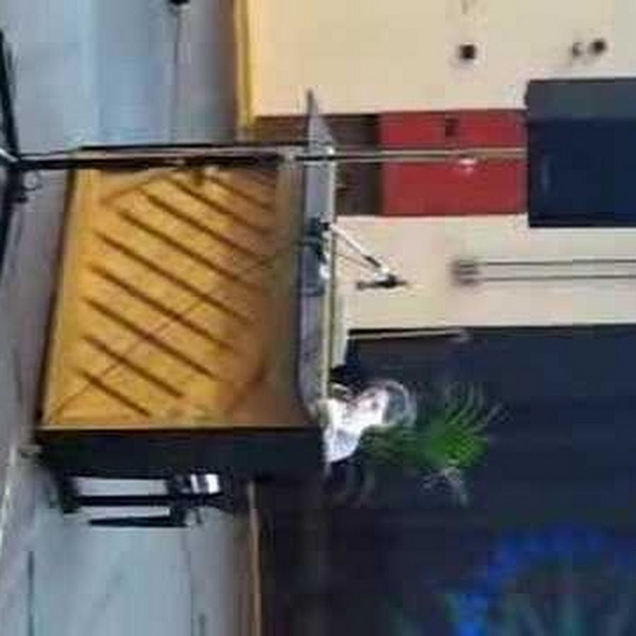 anibuny - YouTube