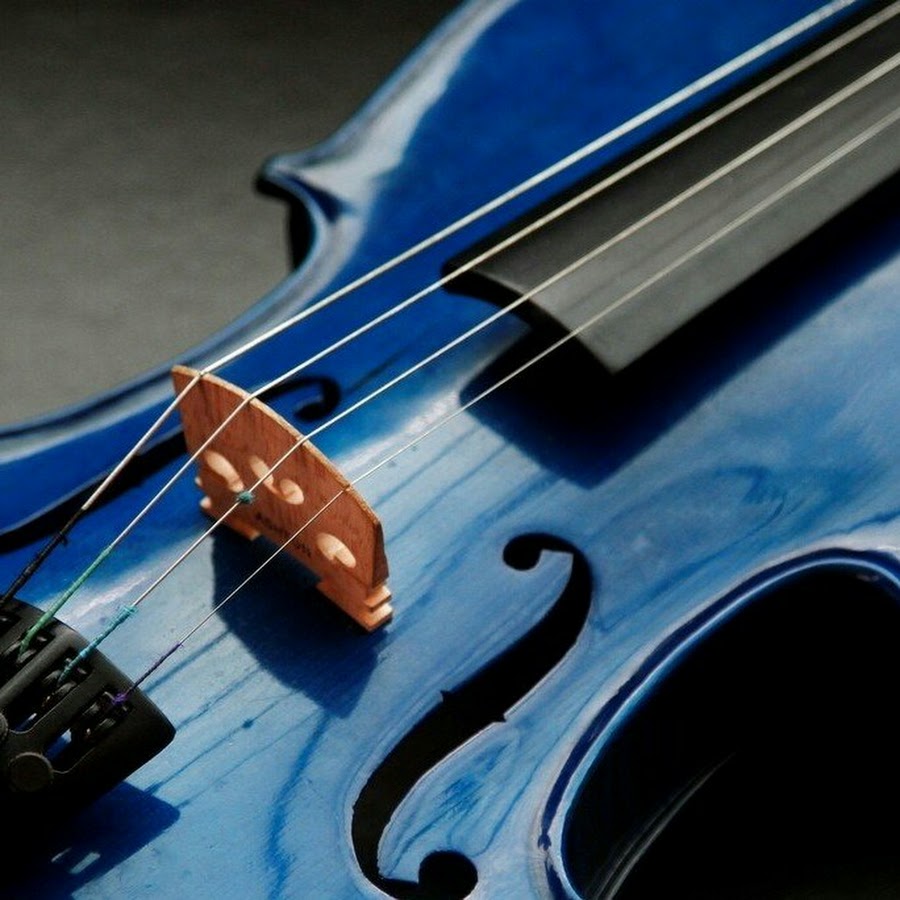 Скрипка. Скрипка филармония макро. Мелодии на скрипке. Синий музыкальный инструмент. Жанры скрипки