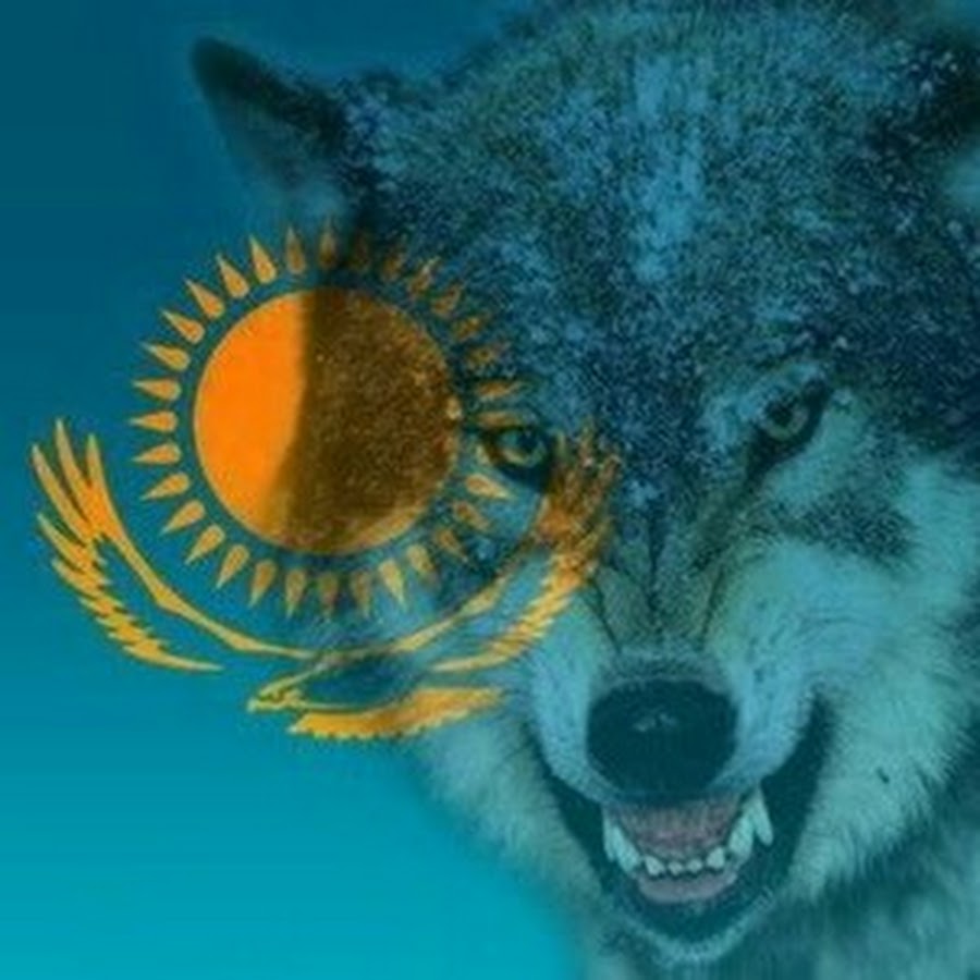 волки казахстана