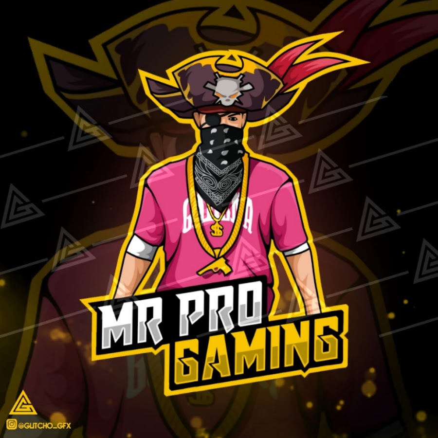 Mr.Pro Gamer