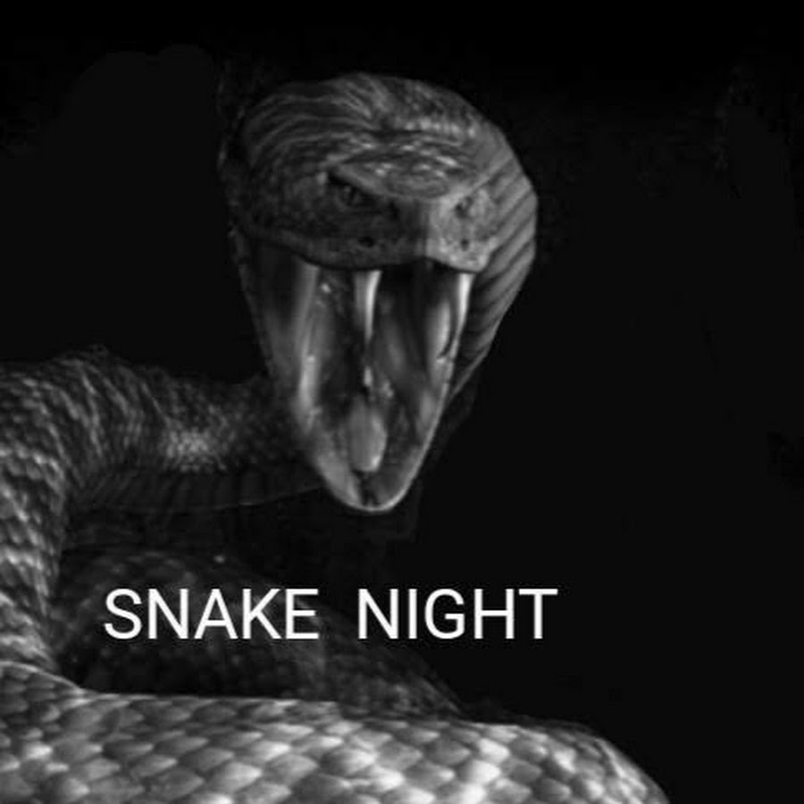 Что змея ночью обнаружит на более удаленном