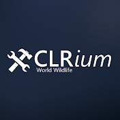 Мини-конференции CLRium