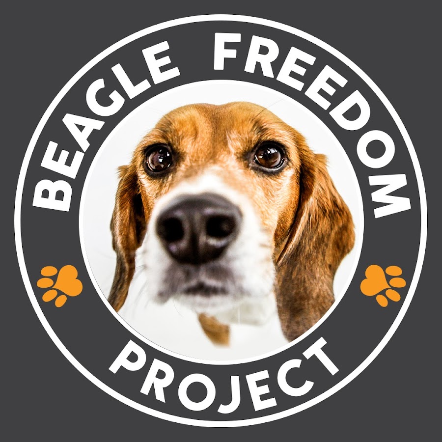 what is the beagle freedom project? 2