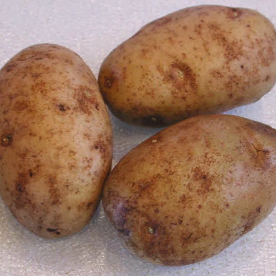Картофель родрига
