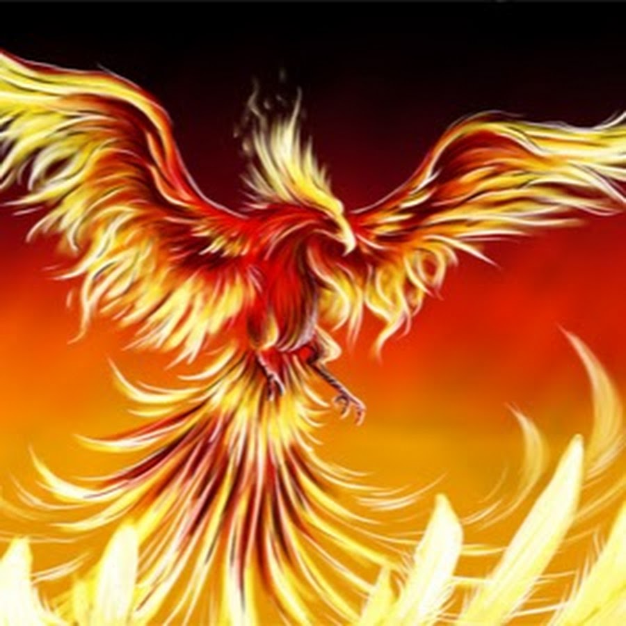 Phoenix piper. Феникс из пепла. Птица Феникс возрождается из пепла. Феникс Восставший из пепла. Феникс Возрождение из пепла.