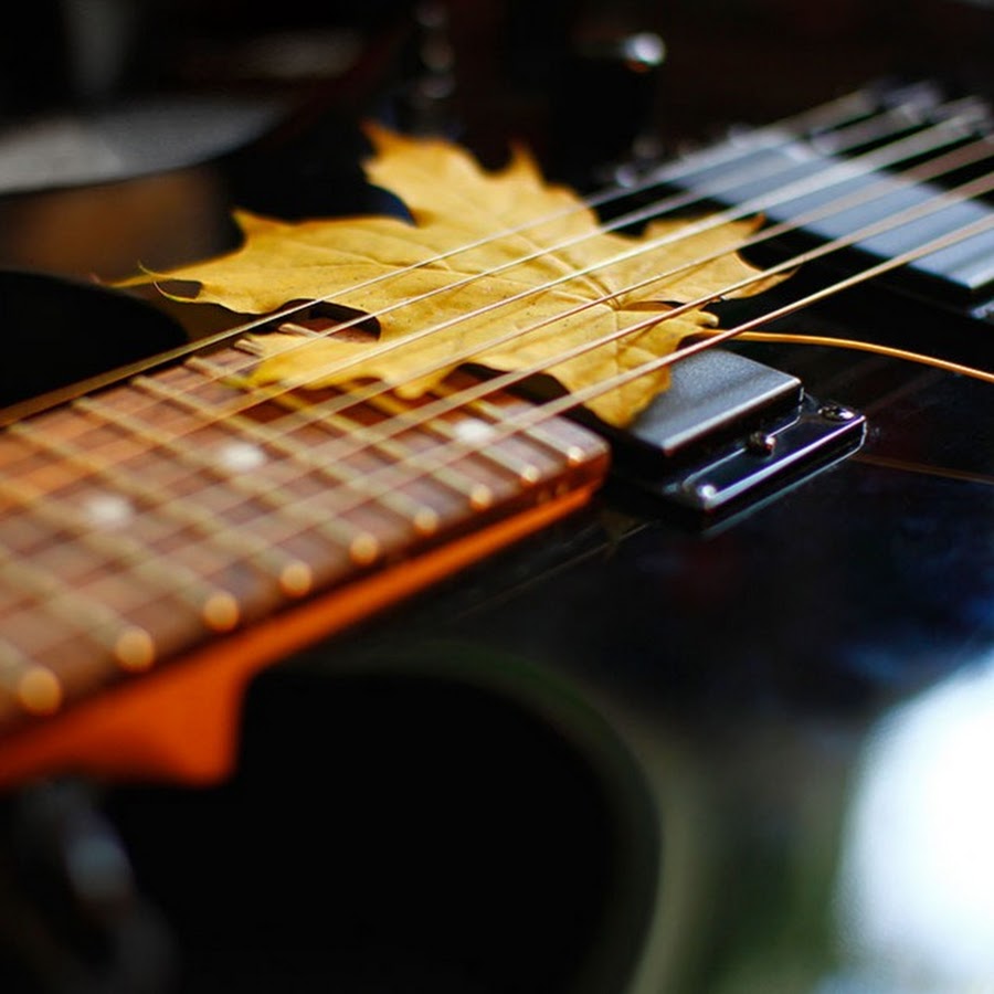 Красивые гитары. Гитара в осенних листьях. Музыкальные струны. Электрогитара в осенних листьях. Звон струн