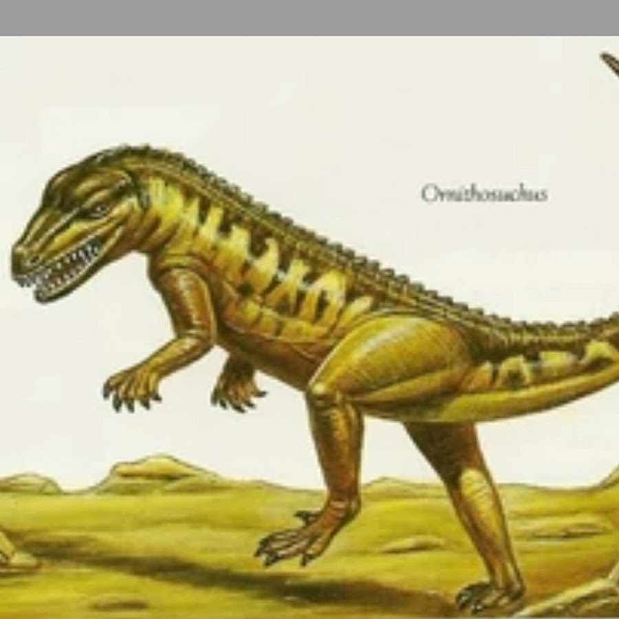 Предки современных рептилий