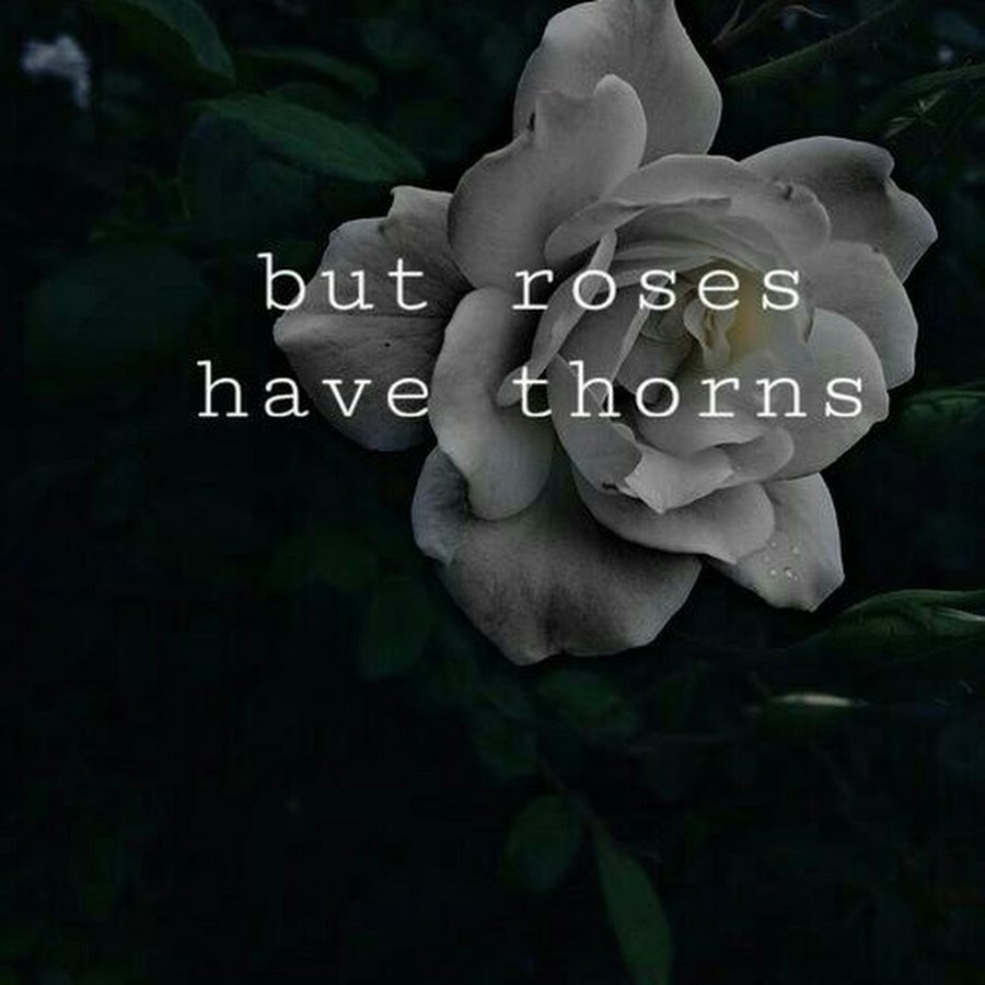 Rose has Thorns. Роза на Утесе.