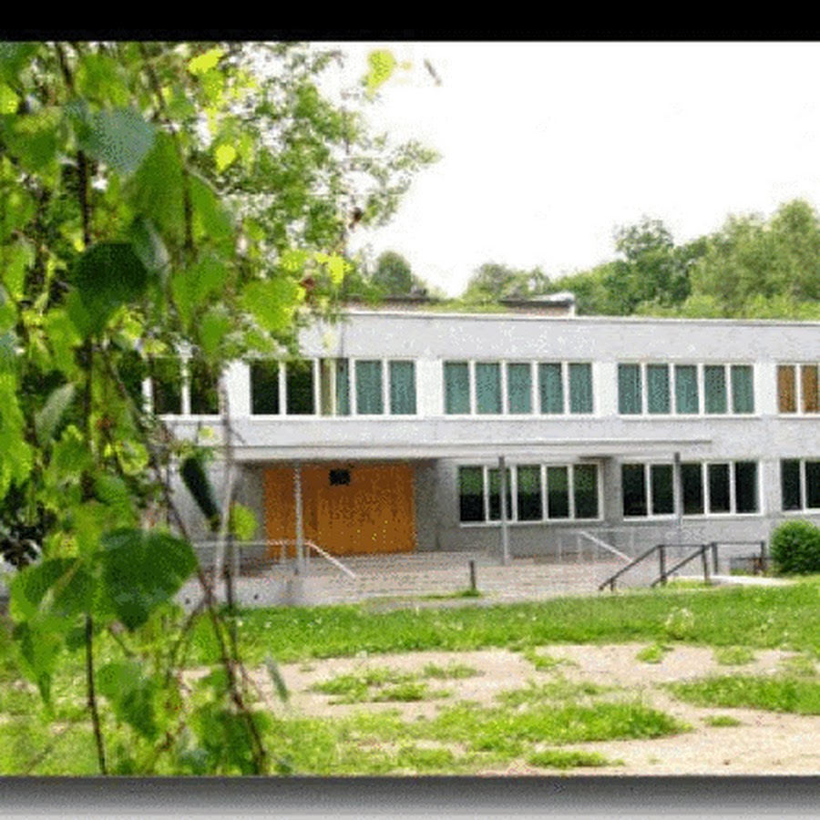 Школы в г химки 11 лицей. Лицей номер 10 химки. Лицей 6 химки официальный сайт. Лицей № 6 г. Школа 12 химки.