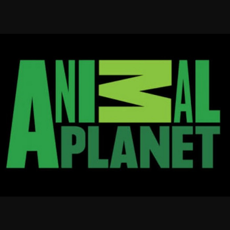 Анимал планет прямой. Анимал планет. Телеканал animal Planet. Animal Planet логотип. Фирменный стиль animal Planet.