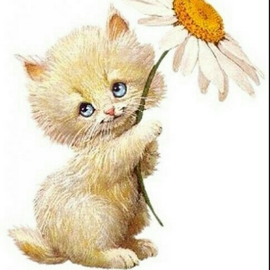 Открытка кот с цветами. Котенок с цветочком. Кот дарит цветы. Котенок в ромашках. Котенок с букетом цветов.