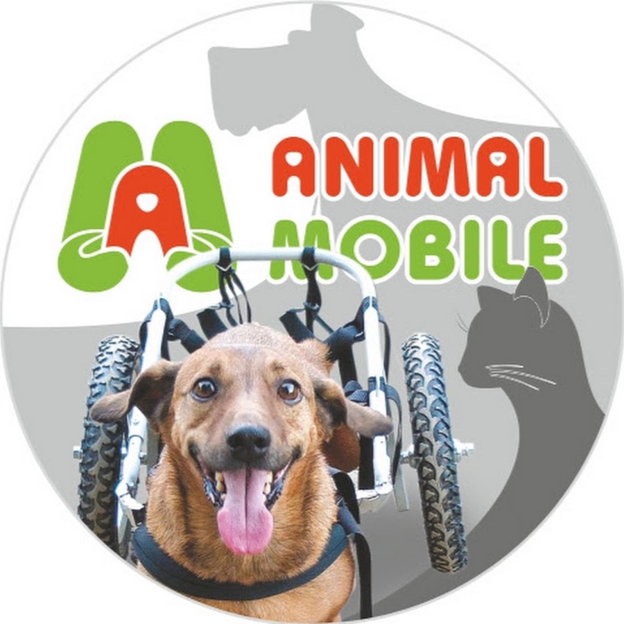 Animal mobile