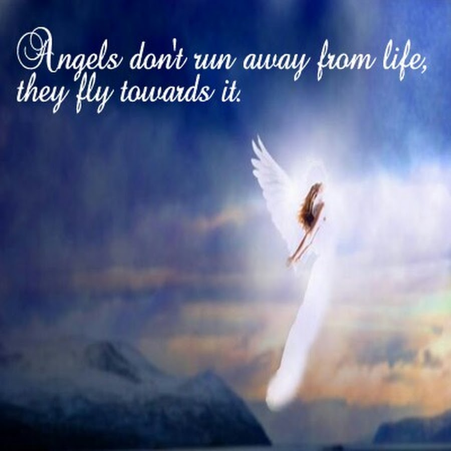 Fly towards you