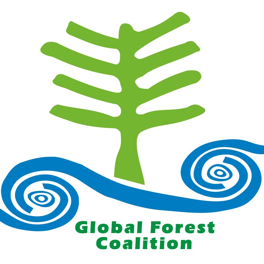 Global Forest Coalition WEBINAR Starving Africa to Feed the World