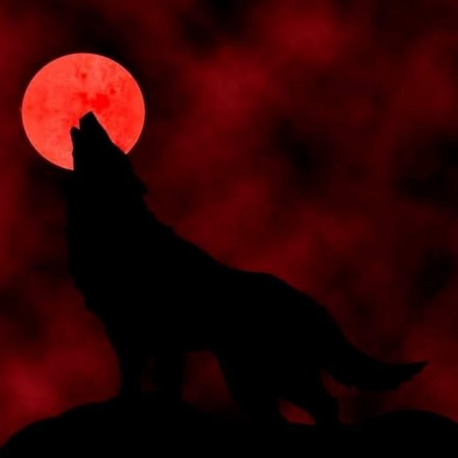 Кровавая луна книга. Волк и Луна. Кровавая Луна волк. Оборотень волк Кровавая Луна.
