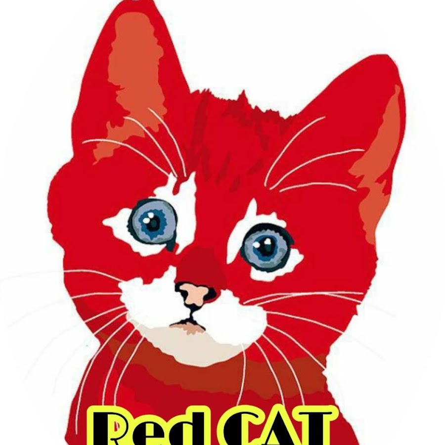 Видео red cat. Red Cat Иван. Red Cat Настя. Red Cat Вадим. Red Cat Кирилл.