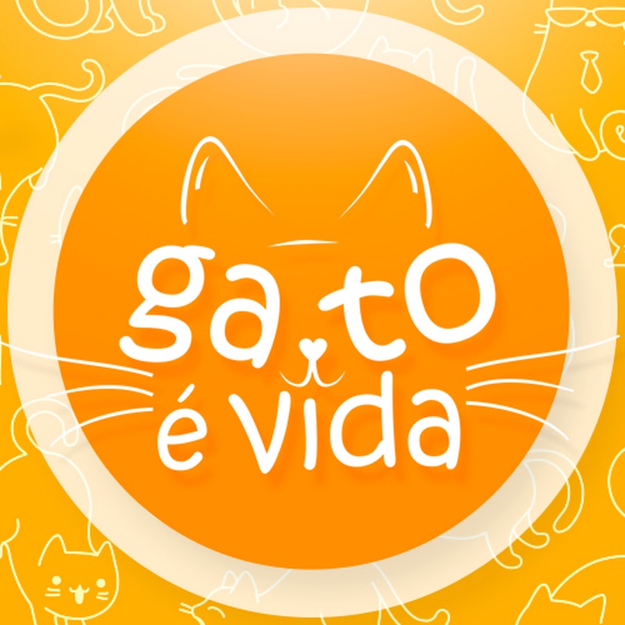 Vida de Gato