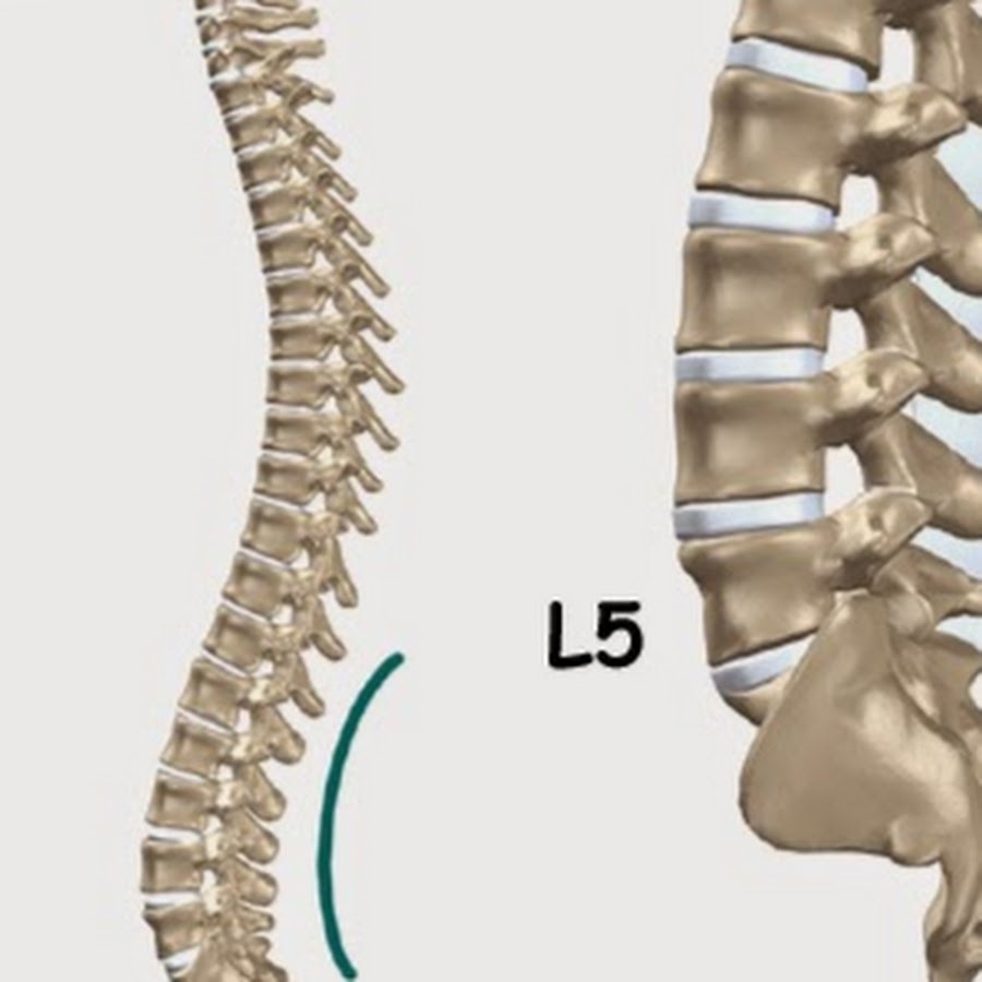 Spine crack. Кифоз крестцового отдела. Крестцовый отдел фото. Крестцово копчиковый кифоз у новорожденного. Si Joint в позвоночнике.