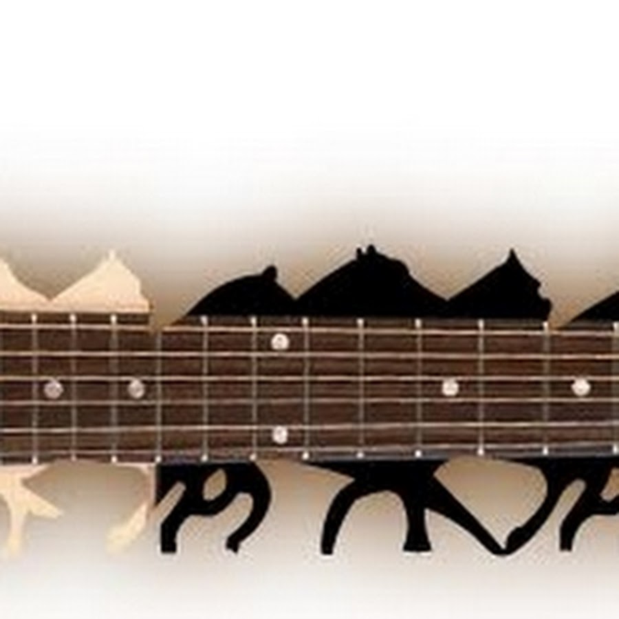 Solar Guitars t2.6n. PRS Birds. James Hetfield Wolf Guitar наклейки на гриф. PRS птицы на грифе.