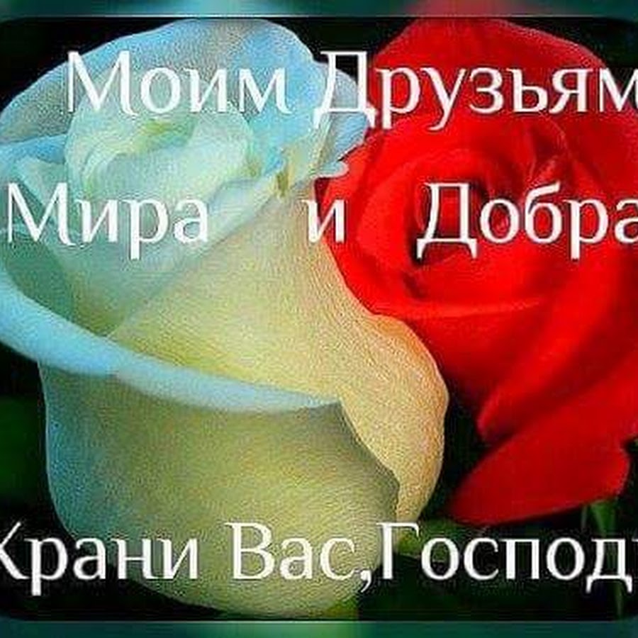 Спасибо вам храни вас Господь. Храни вас Господь, счастья, здоровья. Добра вам , храни вас Господь. Храни добро