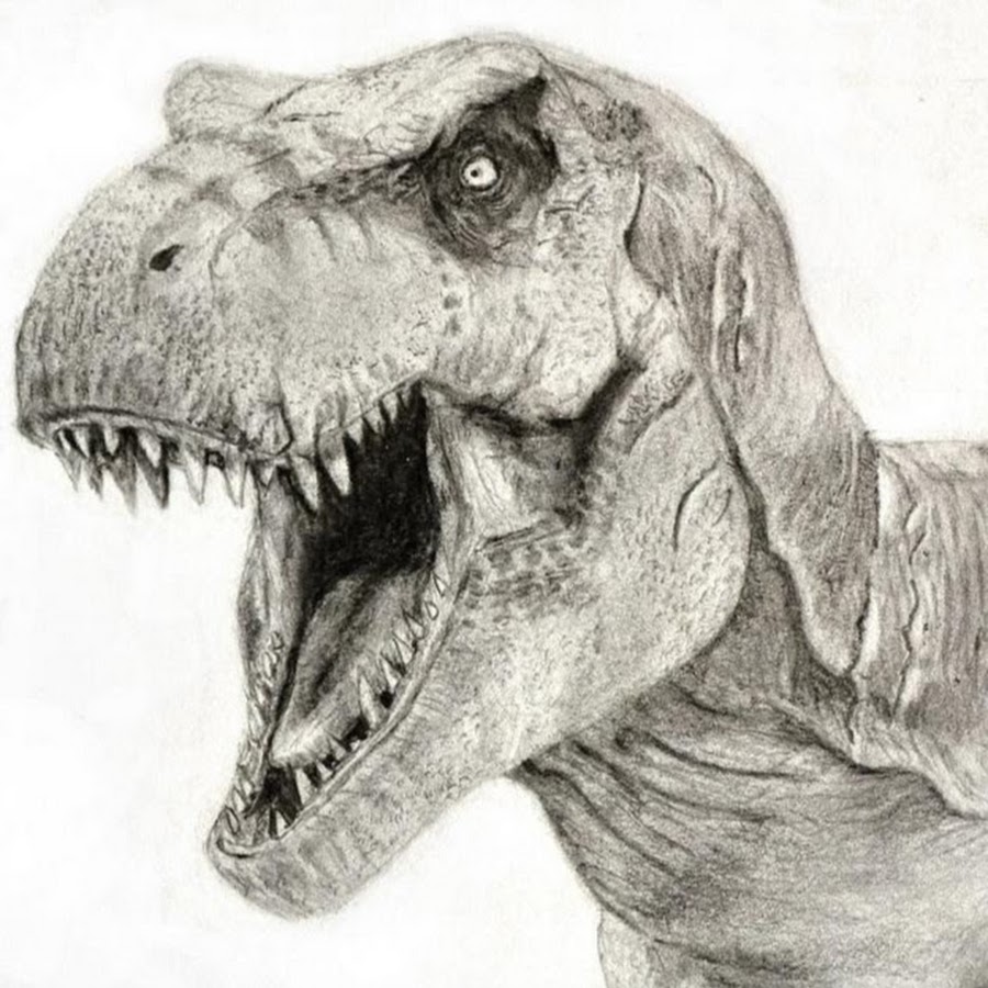 Картинки динозавров нарисовать. Тирекс динозавр. Нарисовать тираннозавра Рекса. Динозавр карандашом.
