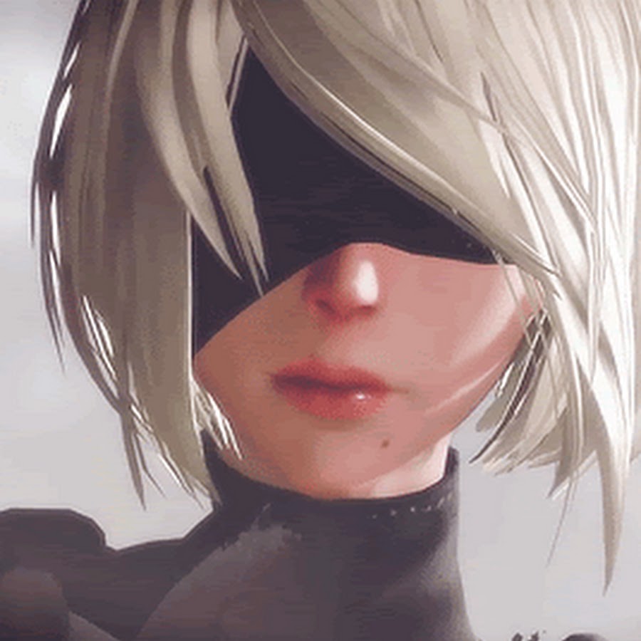 Райден и 2b