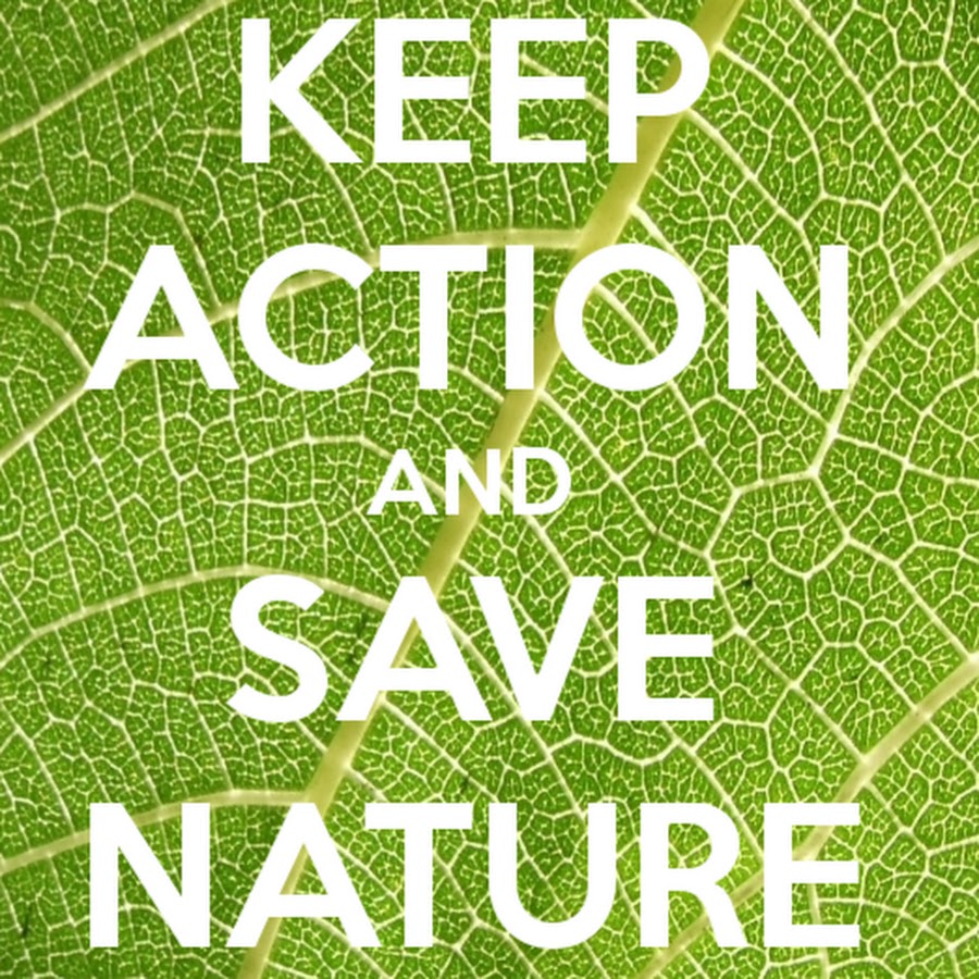 Lets save. Save nature плакат. Lets save the nature. Save the nature text. Save nature poster Design.