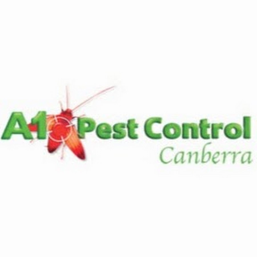 How to Get Rid of Pantry Moths & More: Canberra Pest Control