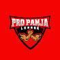 Pro Panja League