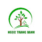 NGỌC TRANG XANH