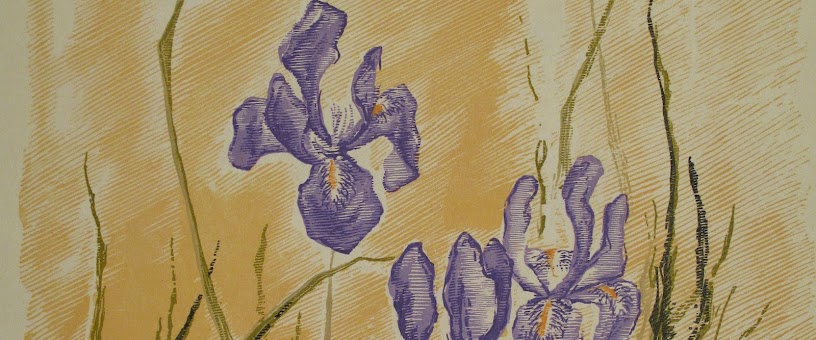 Artist Thumbnail