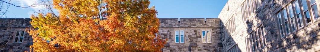 The Center for Business Analytics at Virginia Tech