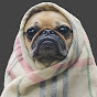 Cold Pug