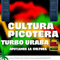 CULTURA PICOTERA DE URABA 