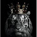 logo Tiger+warzone