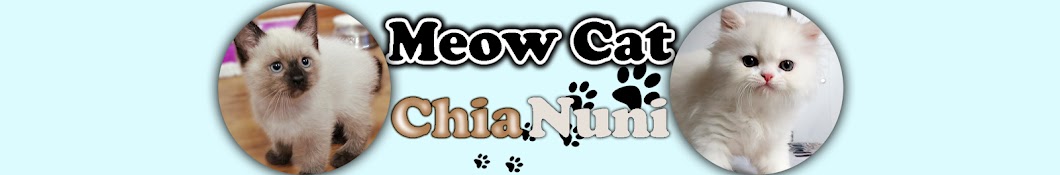 Meow Cat ChiaNuni Banner