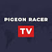 Pigeon Racer TV