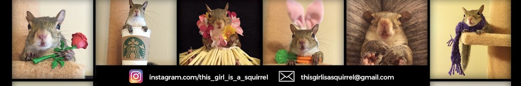 this_girl_is_a_squirrel Banner