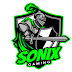 SoniX Gaming | Guides & Walkthroughs