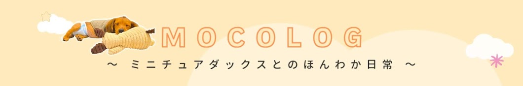 MOCOLOG【ミニチュアダックスとのほんわか日常】