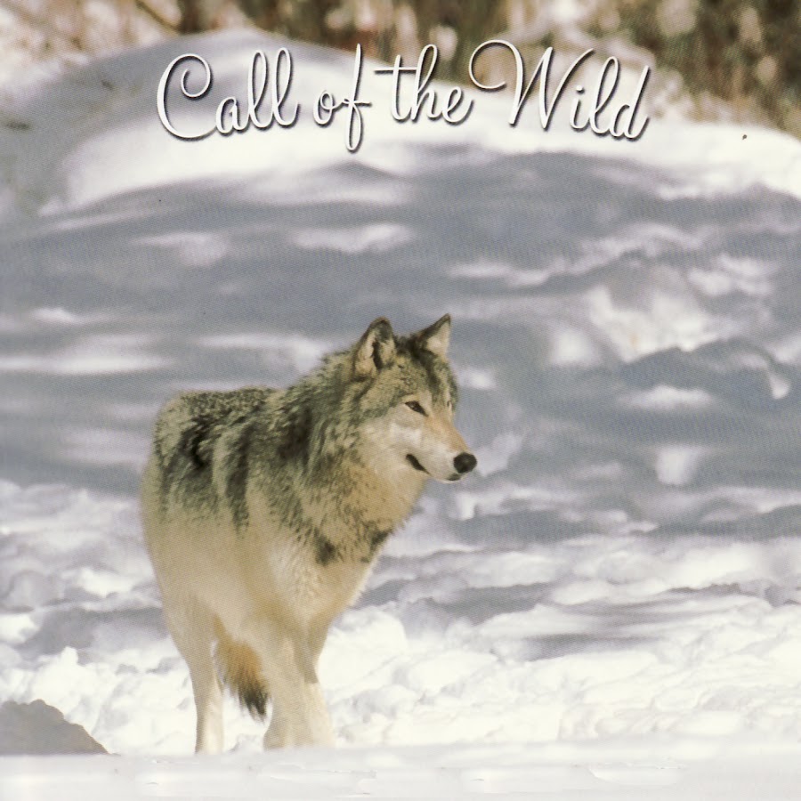 Слушать волк 1