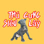 Thú Cưng Siêu Lầy