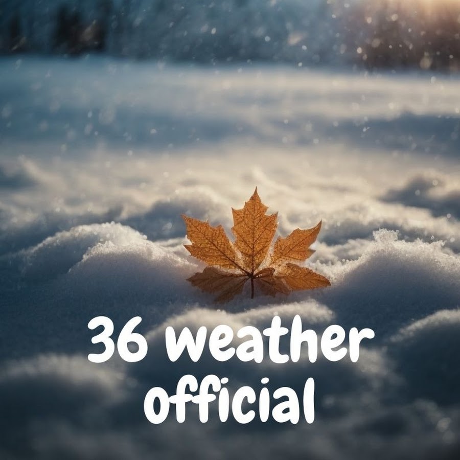36 Weather @36weather-official