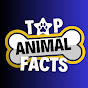 CraftHub Top Animal Facts