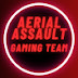 Aerial Assault