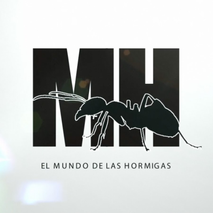 EL MUNDO DE LAS HORMIGAS @ELMUNDODELASHORMIGAS