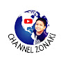 Channelzonaki